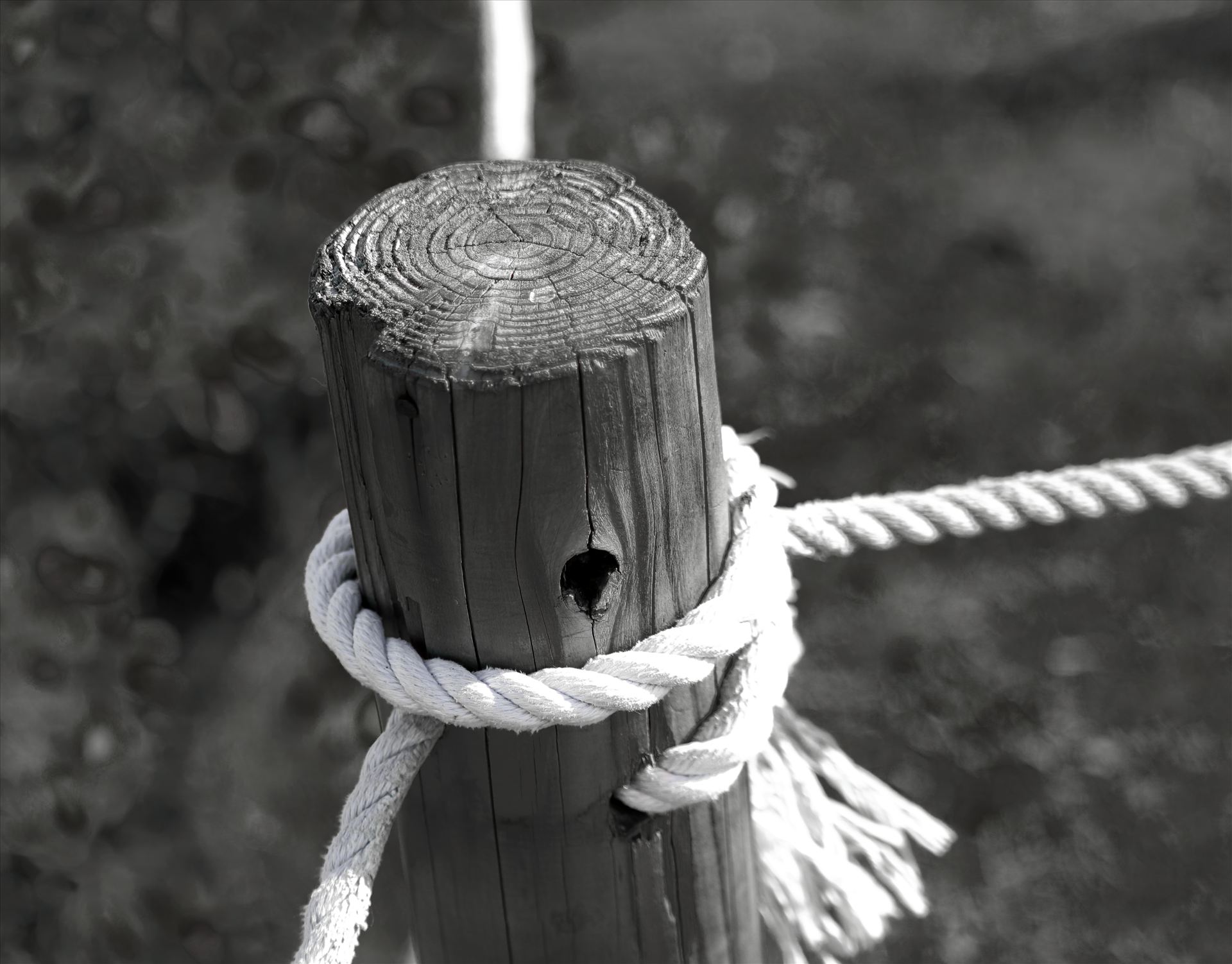 WOOD AND ROPE.JPG -  by Goomba707